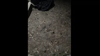 Help Princess Find Her Frog Prince In Under 10 Seconds